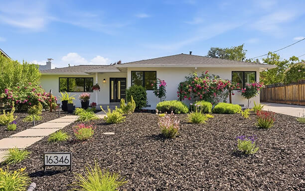 16346 Oleander